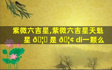 紫微六吉星,紫微六吉星天魁星 🦋 是 🦢 di一
颗么